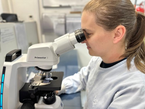 Por trás do cuidado: o papel dos farmacêuticos no Hospital Santa Terezinha